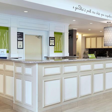 Hilton Garden Inn Charlotte North Ngoại thất bức ảnh