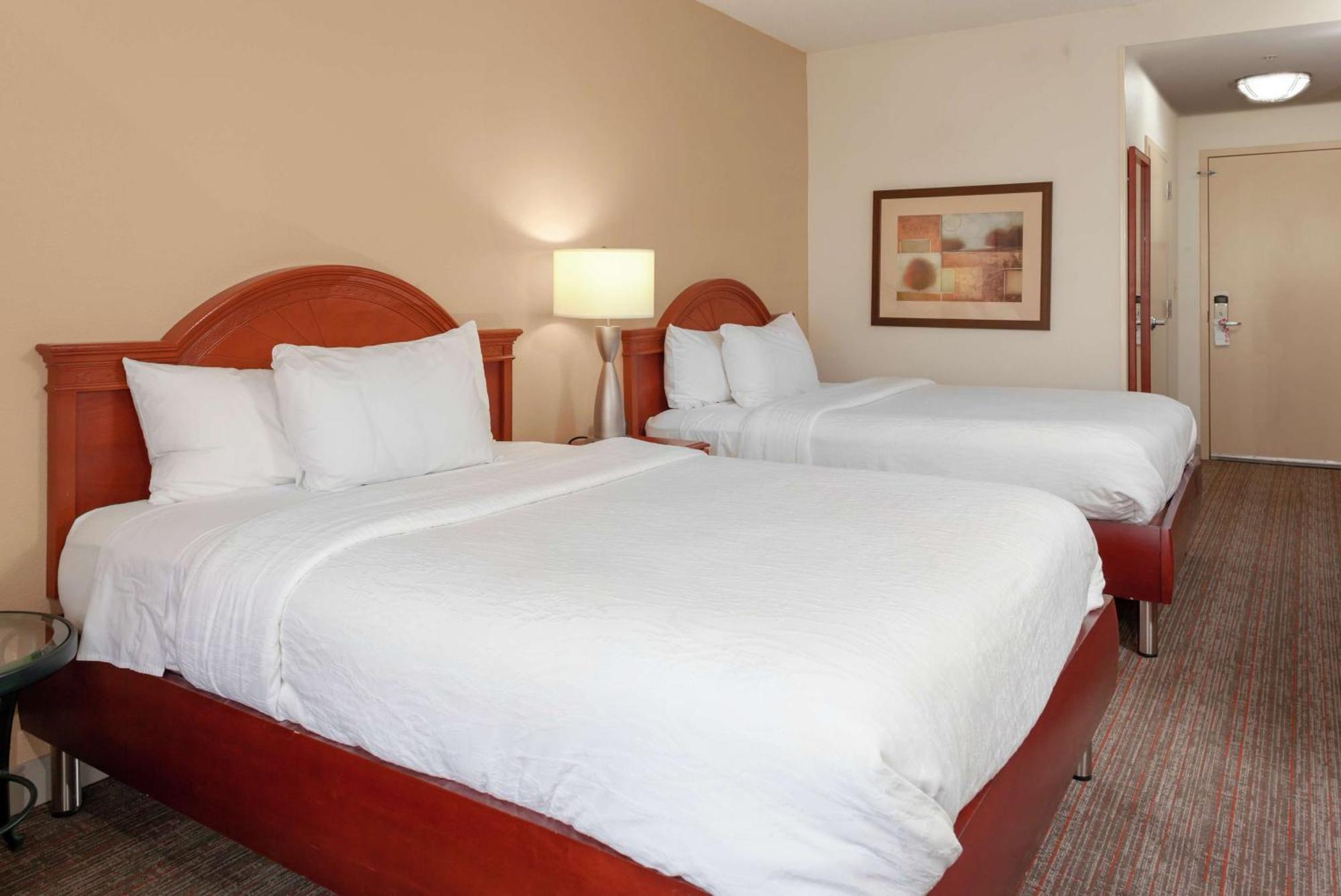 Hilton Garden Inn Charlotte North Ngoại thất bức ảnh